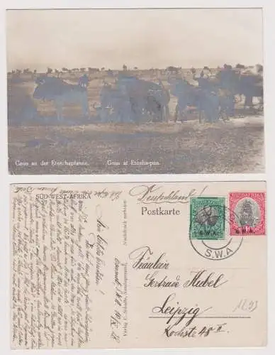 901688 Deutsch-Südwestafrika Gnus an der Etoschapfanne 1928