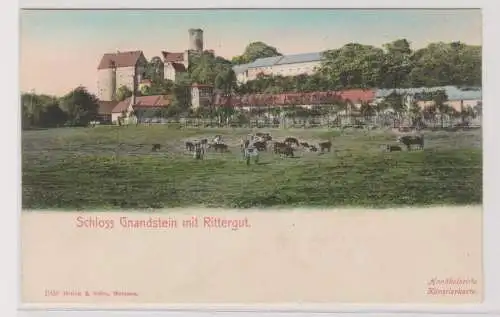 99188 handkolorierte AK Schloss Gnandstein mit Rittergut und Viehwirtschaft 