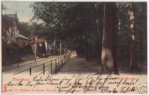 15493 Ak Pinneberg Bahnhofstrasse 1904