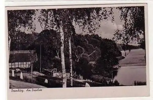 42911 Ak Dramburg Am Zapelsee um 1930