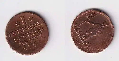 1 Pfennig Kupfer Münze Braunschweig-Wolfenbüttel 1763 IAP (169764)