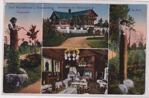 900539 AK Bad Warmbrunn (Cieplice Śląskie-Zdrój) - Blockhaus im Füttnerpark 1920