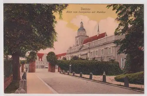 45749 Ak Dessau Blick vom Lustgarten mit Muldtor 1913