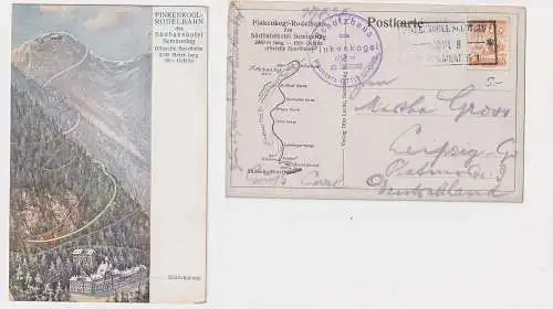26200 Ak Semmering Pinkenkogl-Rodelbahn des Südbahnhotel um 1910