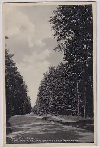 39874 Ak Naunhof bei Leipzig Waldwege von Lindhardt nach König Albert Hütte 1933