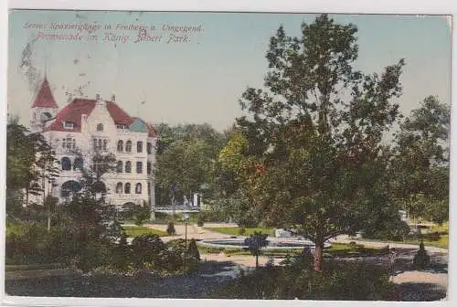 53489 AK Spaziergänge in Freiberg & Umg. - Promenade im König Albert Park 1913