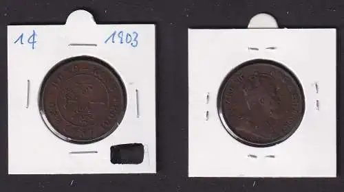 1 Cent Kupfer Münze Hongkong Edward VII 1903 ss (169870)