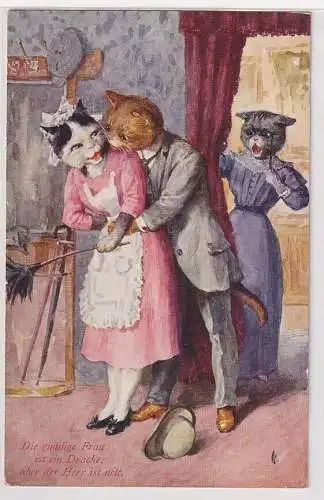 11606 Künstler Ak Humor Erotik vermenschlichte Katzen Th. Stroefer 1912