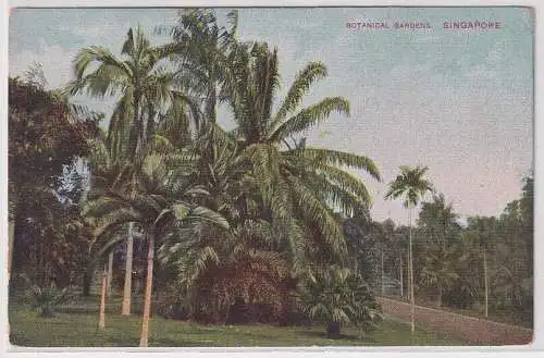55629 Ak Singapore Singapur Botanical Gardens um 1910