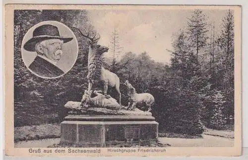 53290 Ak Gruß aus dem Sachsenwald - Hirschgruppe Friedrichsruh um 1930