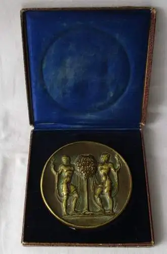 Medaille Preußisches Ministerium für Volkswohlfahrt für dt. Kraft (124625)