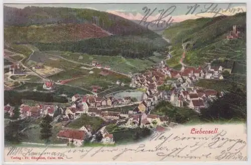 98271 Ak Liebenzell - Panoramaübersicht 1904