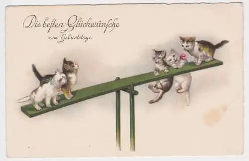 65522 Geburtstags Ak 5 Kätzchen auf der Wippe um 1930
