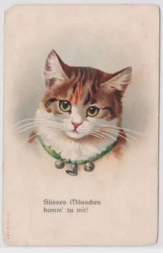 20671 Katzen Ak "Süsses Mäuschen komm´ zu  mir!" um 1910