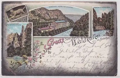 71677 Ak Lithographie Gruß vom Waldkater im Bodethal 1900