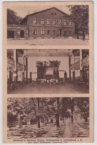 10911 Mehrbild Ak Grünewalde bei Schönebeck a.E. Gasthaus zum braunen Hirsch 
