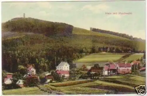 27886 Ak Hain im Hochwald Totalansicht 1915