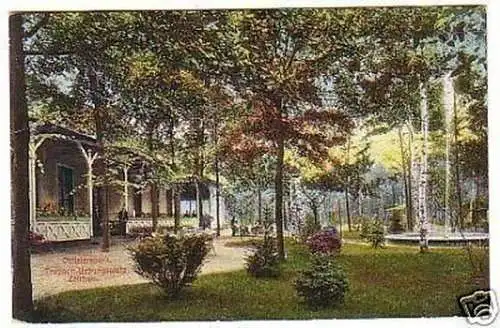 15767 Ak Truppenübungsplatz Zeithain Offizierspark 1917