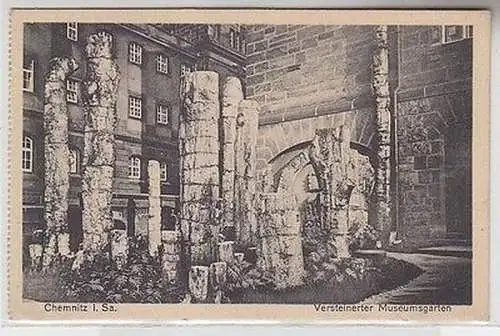 65992 Ak Chemnitz in Sachsen versteinerter Museumsgarten 1932