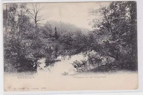 76508 Ak Dresden Teichpartie aus der Bürgerwiese um 1900