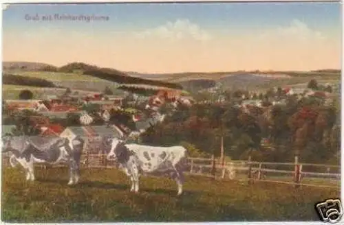 28422 Ak Gruß aus Reinhardtsgrimma Totalansicht um 1920