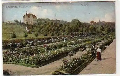 35047 Ak Chemnitz Rosarium im Stadtpark 1908