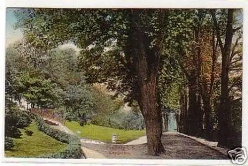 32463 Ak Freiberg in Sachsen Königsallee 1913