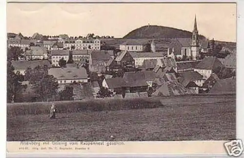 31684 Ak Altenberg mit Geising vom Raupennest um 1910