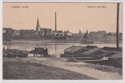 90141 Ak Coswig i. Anhalt Partie an der Elbe 1913