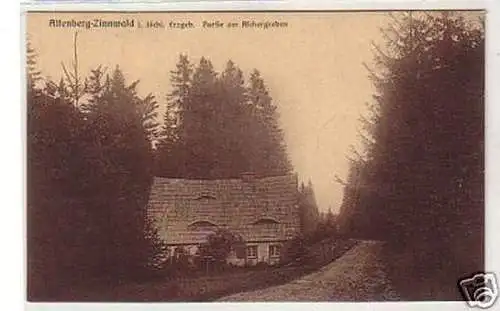 31465 Ak Altenberg Zinnwald Partie am Aschergraben 1920