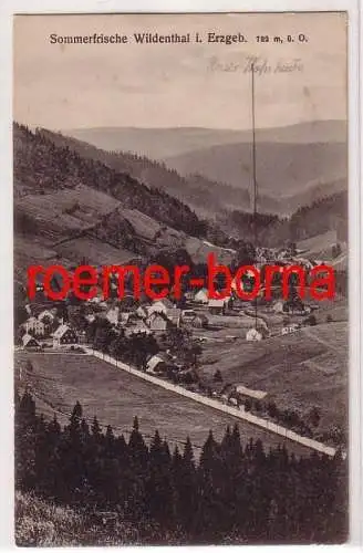 75119 Ak Sommerfrische Wildenthal am Fusse des Auerbergs im Erzgeb. 1917