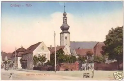 19090 Ak Trebsen Mulde Ansicht mit Kirche um 1910