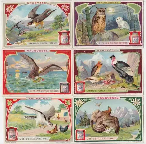 Liebigbilder Serie 872 "Raubvögel" komplett 1906 (108399)