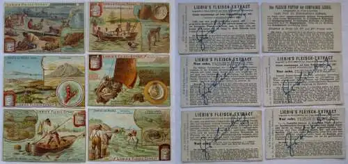 Liebigbilder Serie Nr. 544 Schätze des Meeres Jahrgang 1902 (6/165850)