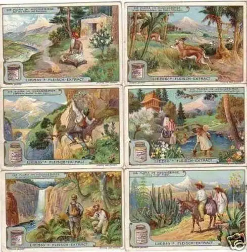 Liebig komplette Bild Serie "Die Flora im Hochgebirge"n