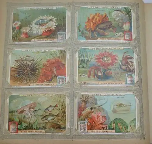 Liebigbilder Serie 757 "Tierleben im Wasser", komplett 1909 (9/ D0381t)