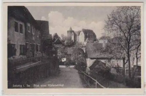 48870 Ak Leisnig i. Sa. Blick vom Malerwinkel um 1950