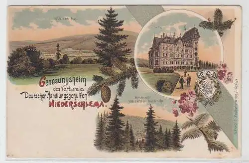 66865 Ak Genesungsheim d. Verbandes Dt. Handlungsgehülfen Niederschlema um 1900