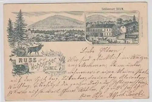 44329 Mehrbild Ak Gruß aus der Hohburger Schweiz 1897