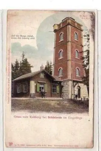 48948 Ak Gruß vom Kuhberg bei Schönheide im Erzgeb. 1906
