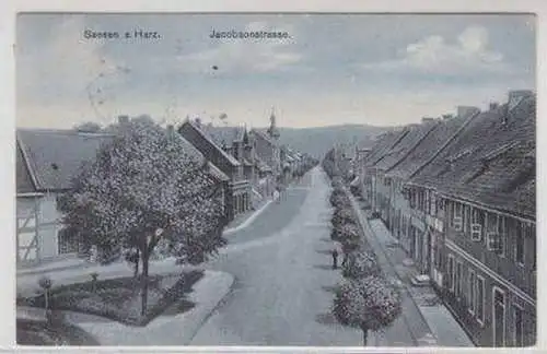 42423 Ak Seesen am Harz Jacobsonstraße 1915