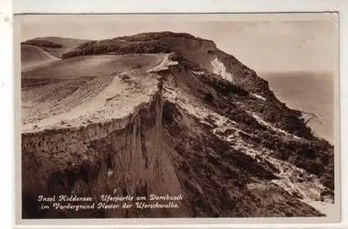 48605 Ak Insel Hiddensee Uferpartie am Dornbusch 1933