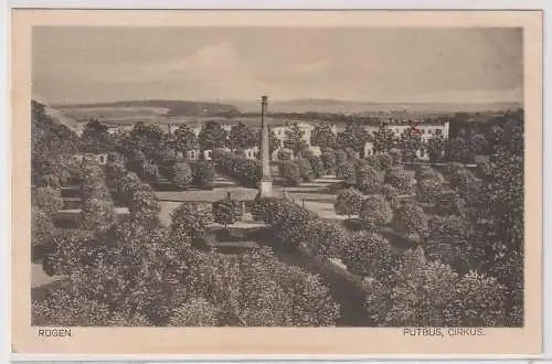 908128 AK Putbus auf Rügen - Cirkus, Parkpartie