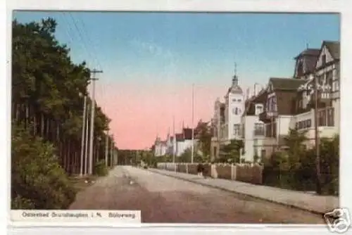 06827 Ak Ostseebad Brunshaupten Bülowweg um 1910