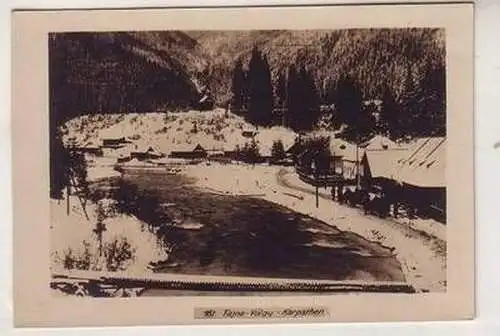52308 Foto Fajna Völgy in den Karpathen um 1916