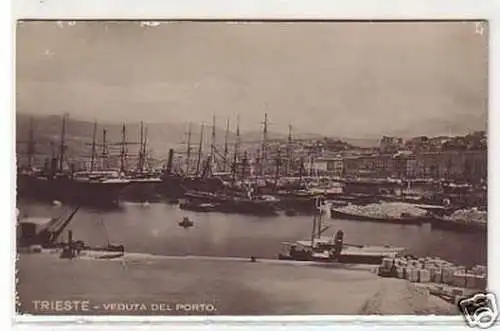 31163 Ak Trieste Italien Veduta del Porto 1919
