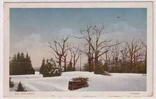 902388 Feldpost AK Bjelowjesch (Białowieża) - Parkbild im Winter 1917