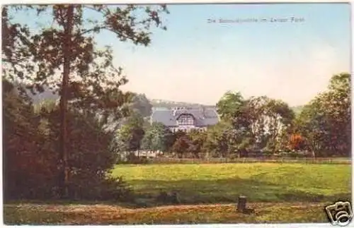 26130 Ak die Scheidemühle im Zeitzer Forst 1914