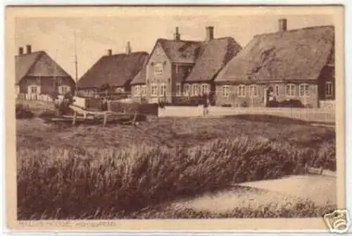 08427 Ak Hallig Hooge Königspesel um 1920