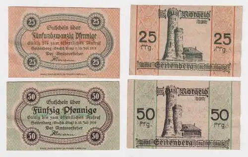 25 und 50 Pfennig Banknoten Notgeld Seitenberg Schlesien 1919 (169148)